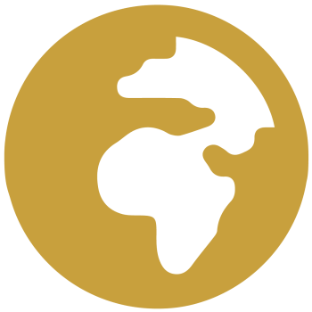 globe-africa-solid-yellow291x300-01.png